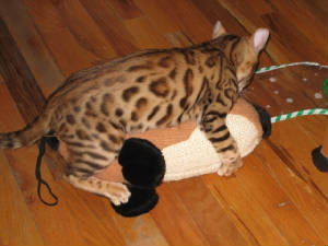 img0811.jpg