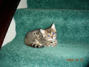 rinas5wks001.jpg