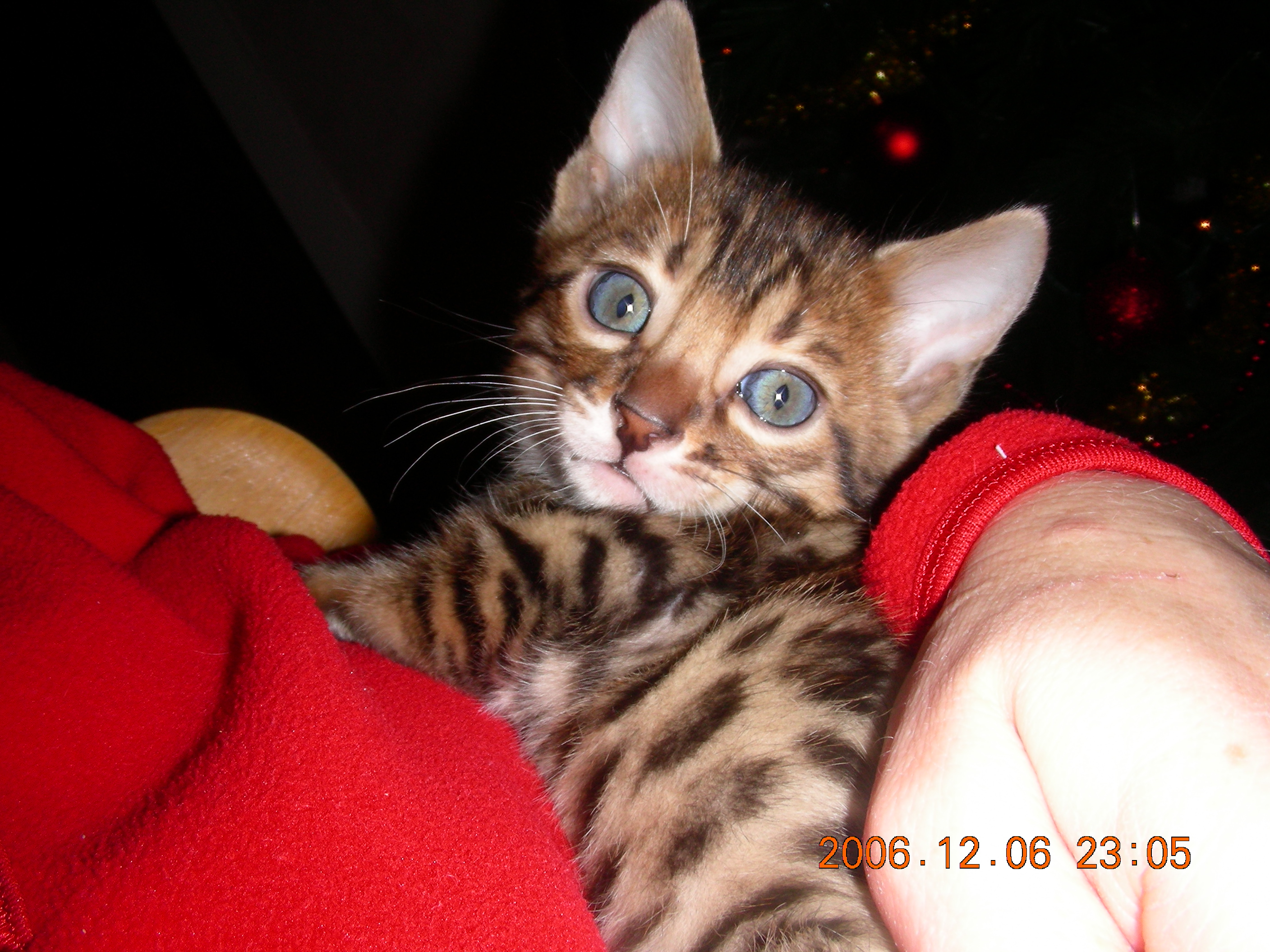 boy2005.jpg