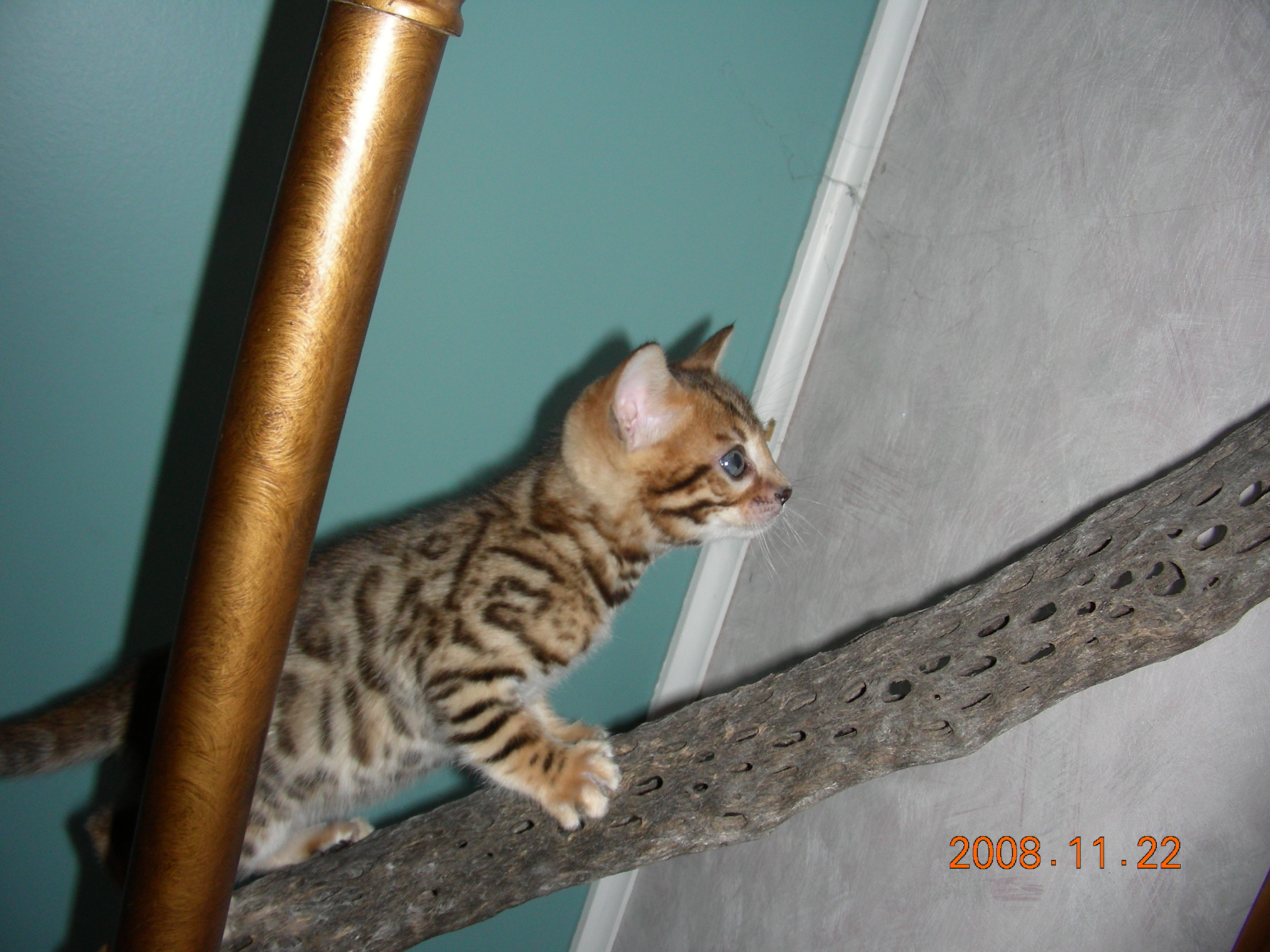 climbing003.jpg
