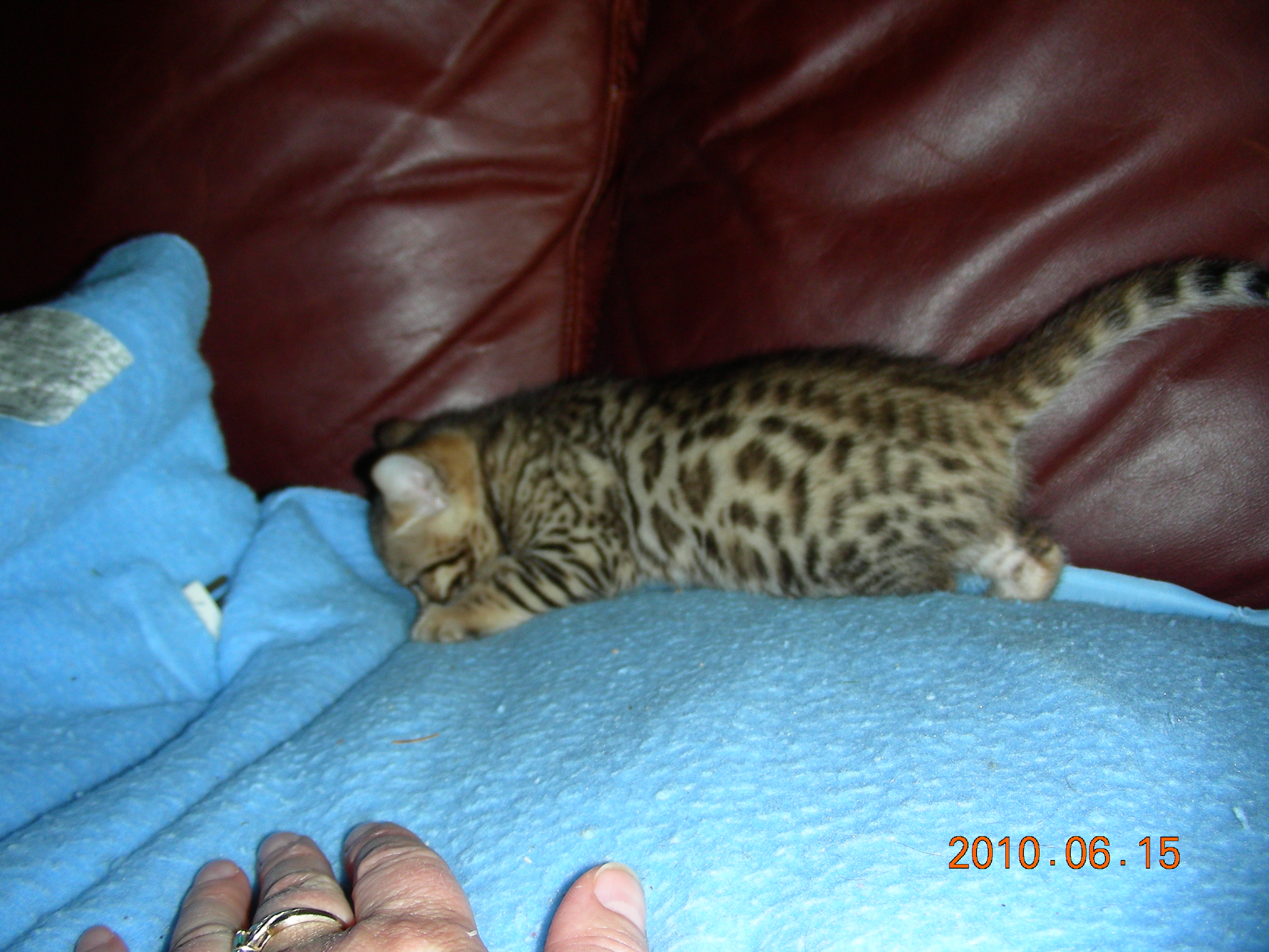 myrajune13th2010013.jpg
