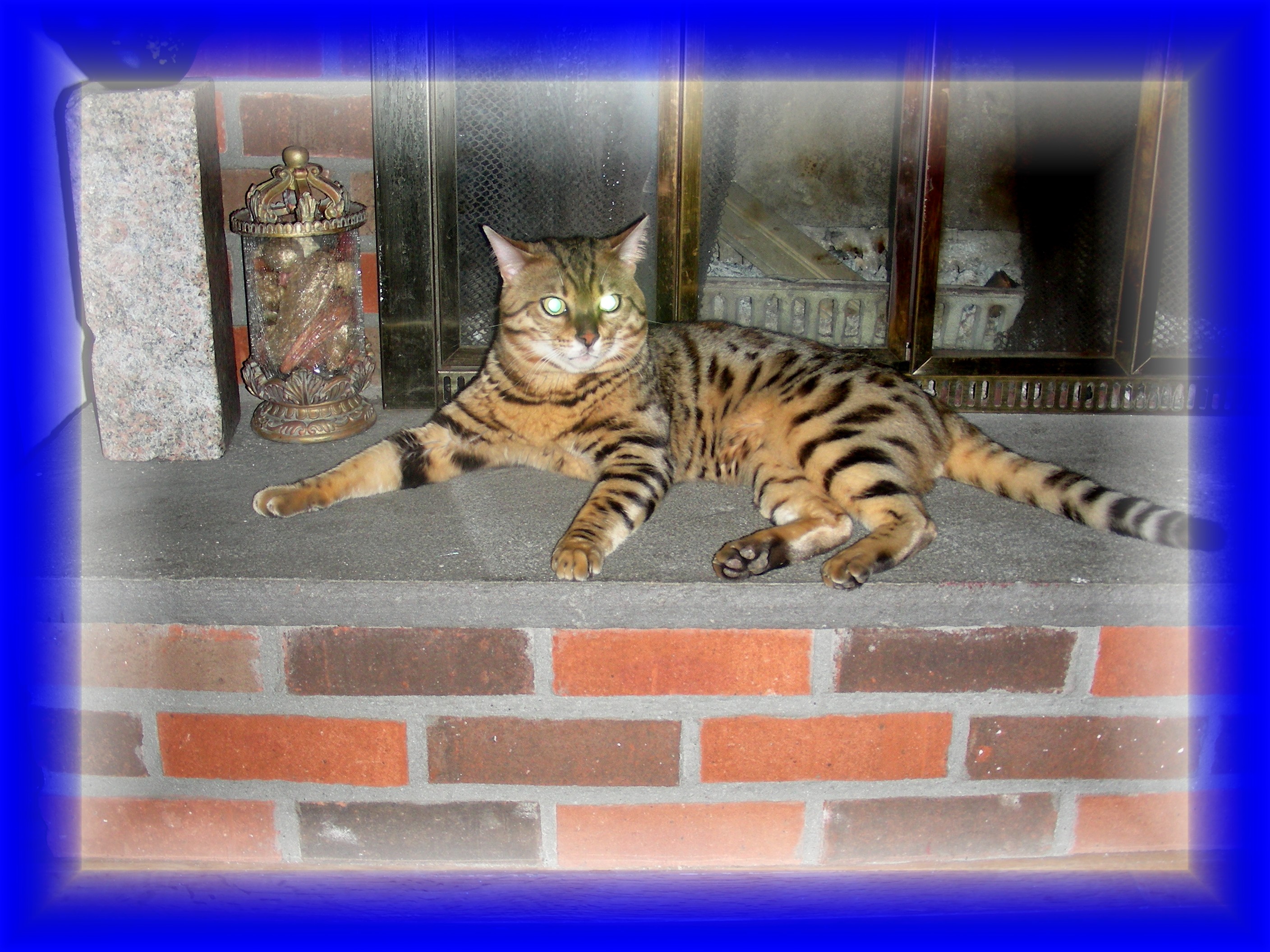 remus10monthsold011.jpg
