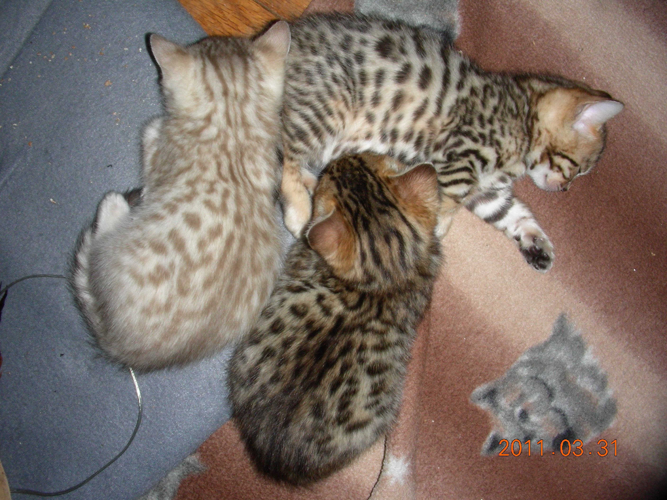 rina5wks2011002.jpg