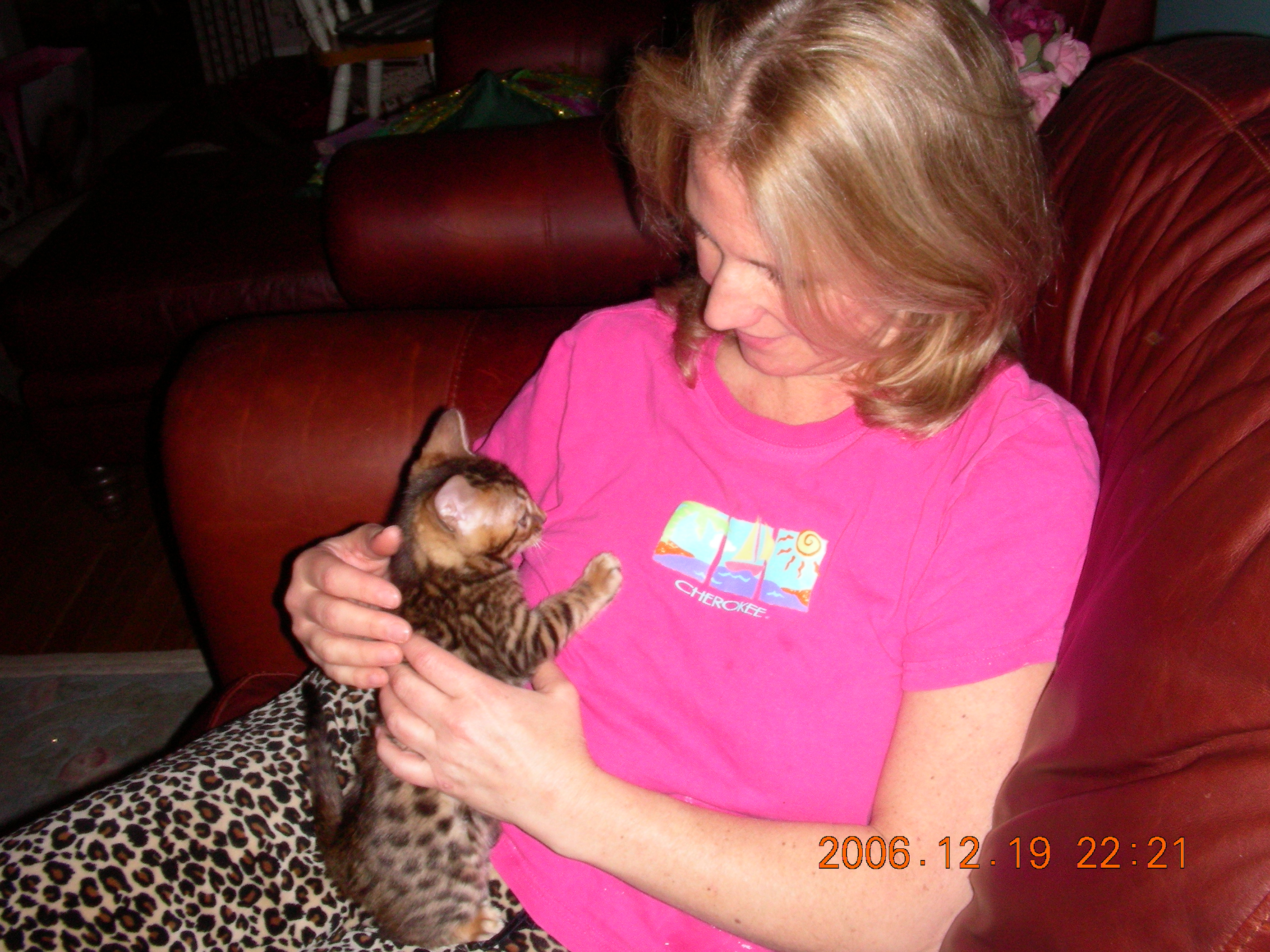 spottedbengals010.jpg